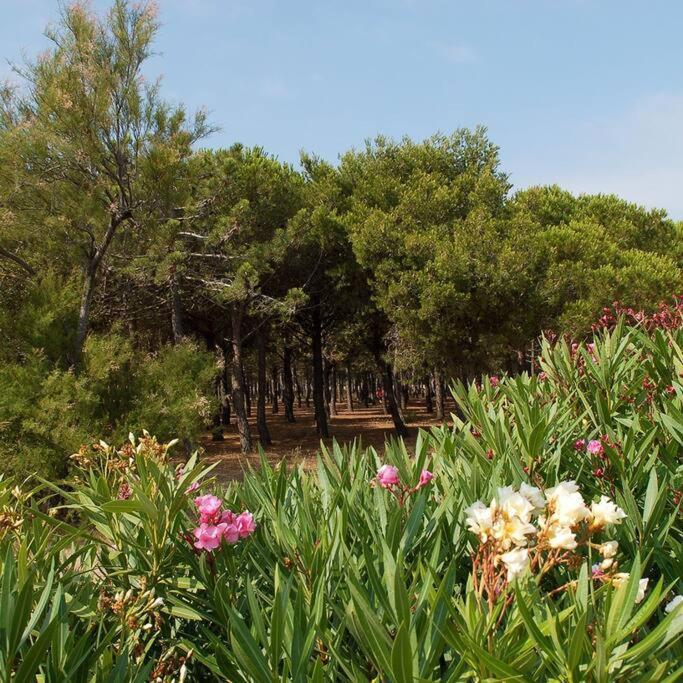T2 Vue Mer Palm Beach Le Barcares Bagian luar foto